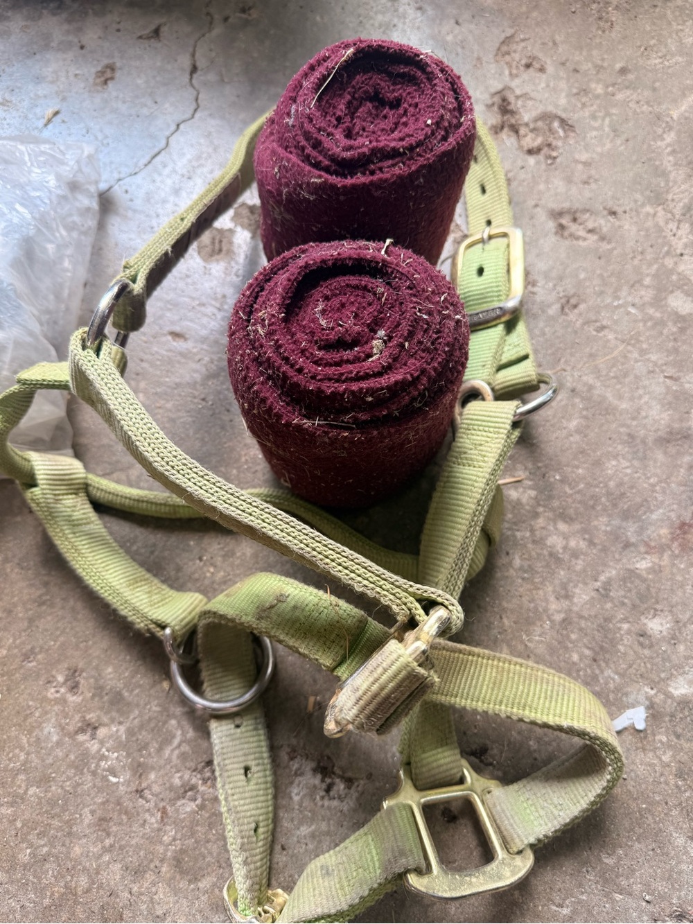 Tack Set - Burgundy Polo Wraps & Olive Green Halter